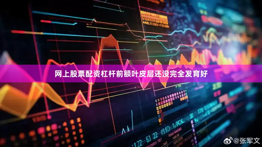 网上股票配资杠杆前额叶皮层还没完全发育好