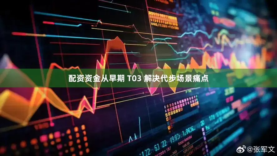 配资资金从早期 T03 解决代步场景痛点