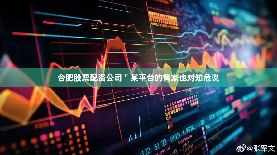 合肥股票配资公司＂某平台的管家也对知危说