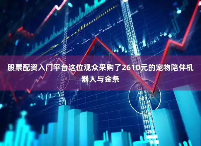 股票配资入门平台这位观众采购了2610元的宠物陪伴机器人与金条