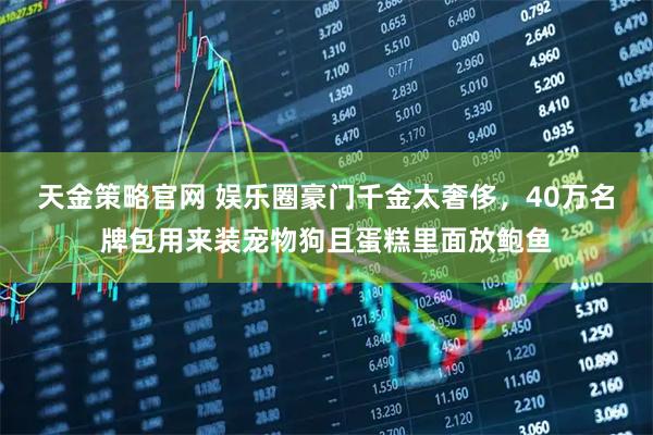 天金策略官网 娱乐圈豪门千金太奢侈，40万名牌包用来装宠物狗且蛋糕里面放鲍鱼