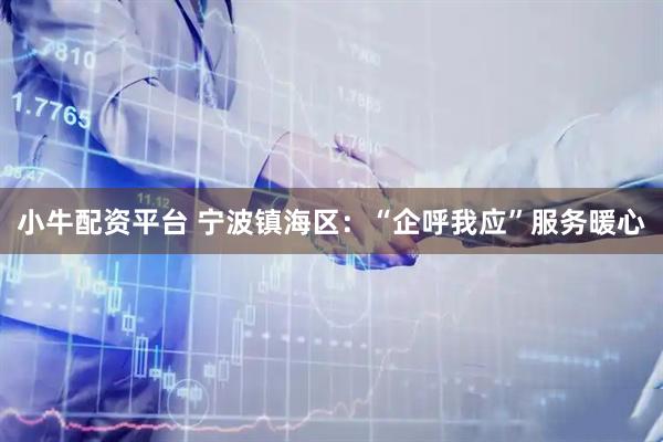 小牛配资平台 宁波镇海区：“企呼我应”服务暖心