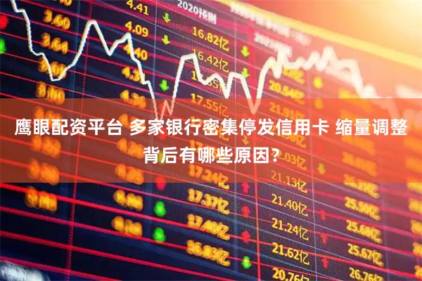 鹰眼配资平台 多家银行密集停发信用卡 缩量调整背后有哪些原因？