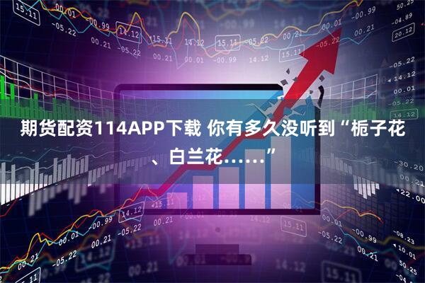 期货配资114APP下载 你有多久没听到“栀子花、白兰花……”