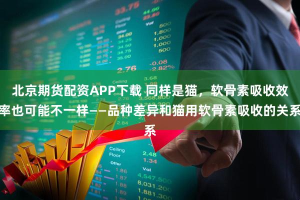 北京期货配资APP下载 同样是猫，软骨素吸收效率也可能不一样——品种差异和猫用软骨素吸收的关系